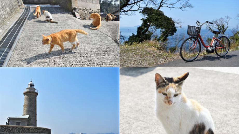 フェリーに乗って瀬戸内に浮かぶ男木島へ。のんびりてくてく猫さんぽ