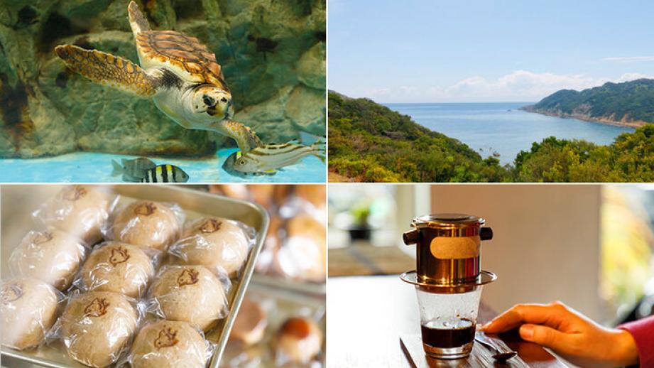 うみがめの産卵にであえるかも！？徳島の豊かな自然と“世界初”に出会う旅