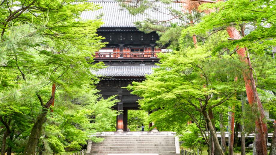 早起きして訪れたい、京都の“朝観光”におすすめの神社仏閣6選