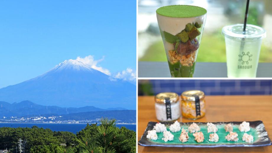 秋の焼津週末旅へ♪ 和スイーツ、アート、星空を探して