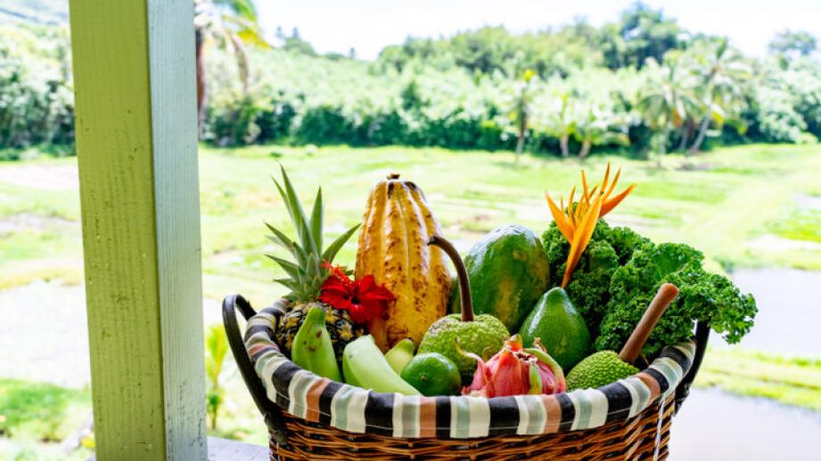 ハワイ・オアフ島の癒しスポット、クアロア･ランチで エコツアーに参加してみませんか？