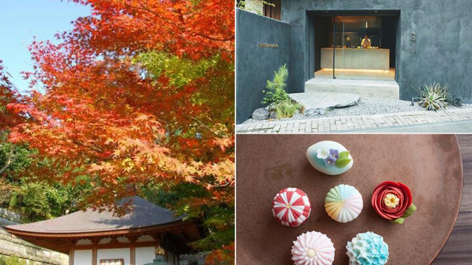 鎌倉・長谷寺のライトアップ紅葉とともに楽しむおさんぽ＆グルメ6選