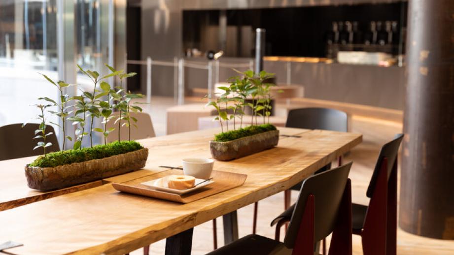 クラブハリエ最大規模の店舗が「ラ コリーナ近江八幡」内にオープン♪ 工場見学も楽しみな「バームファクトリー」