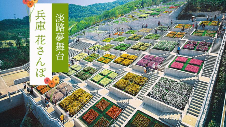 兵庫花さんぽー「淡路夢舞台」など淡路島をぐるりと観光ー