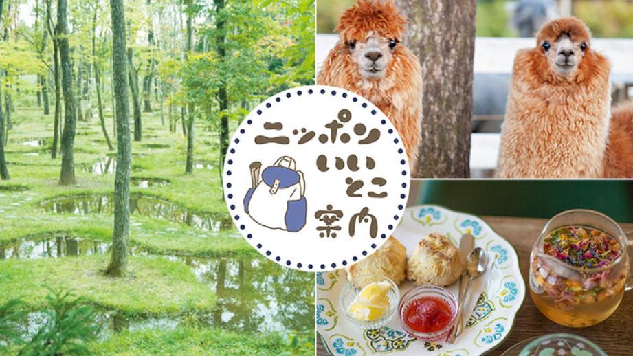 【栃木・那須高原】夏を満喫できるおすすめ観光スポット６選～都心からエスケープして本当に涼しい避暑地へ～