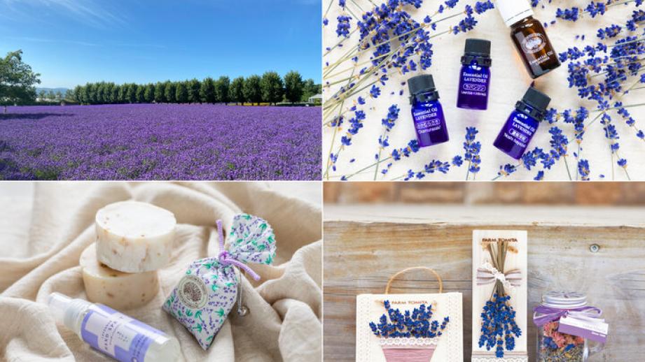 心地よいラベンダーの香りに包まれて♪一面を紫色に染める富良野の「ファーム富田」へ