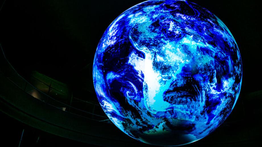 【招待券プレゼント】世界はワンダーであふれてる！生きているミュージアム「ニフレル」で癒やしの時間を♪