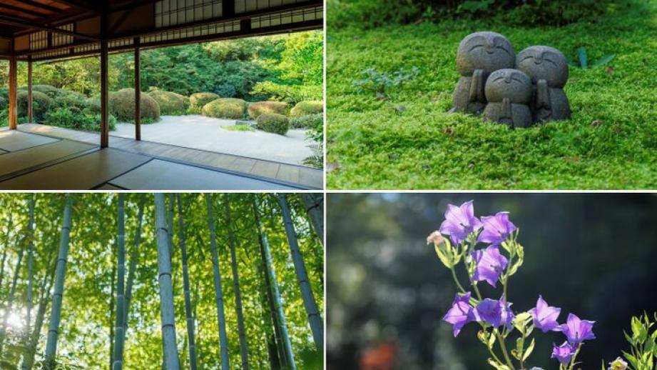 四季の草花が彩る京都・洛北の名庭「詩仙堂」で、心ほどけるひとときを