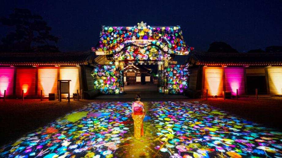 秋の京都さんぽ♪京都御苑の紅葉から、二条城のライトアップイベントまで