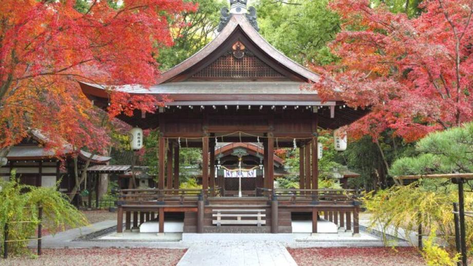 秋の京都ひとり旅おすすめプラン〜名所さんぽも♪ 紅葉とアートを楽しむ休日〜