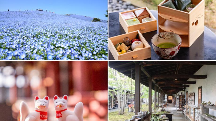 ネモフィラに、パワースポットやうつわ探しをしに、おすすめのいばらき春旅