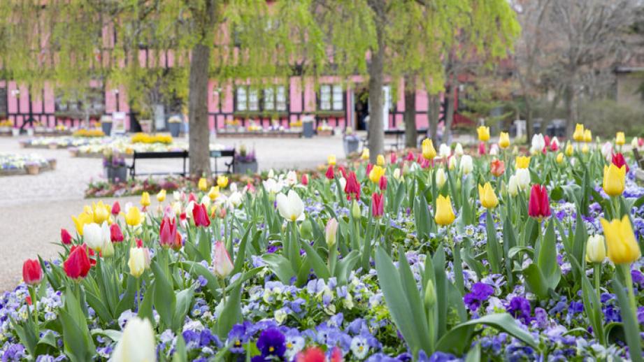 アンデルセン童話の世界感や季節の花が迎えてくれる♪ 千葉「ふなばしアンデルセン公園」へ