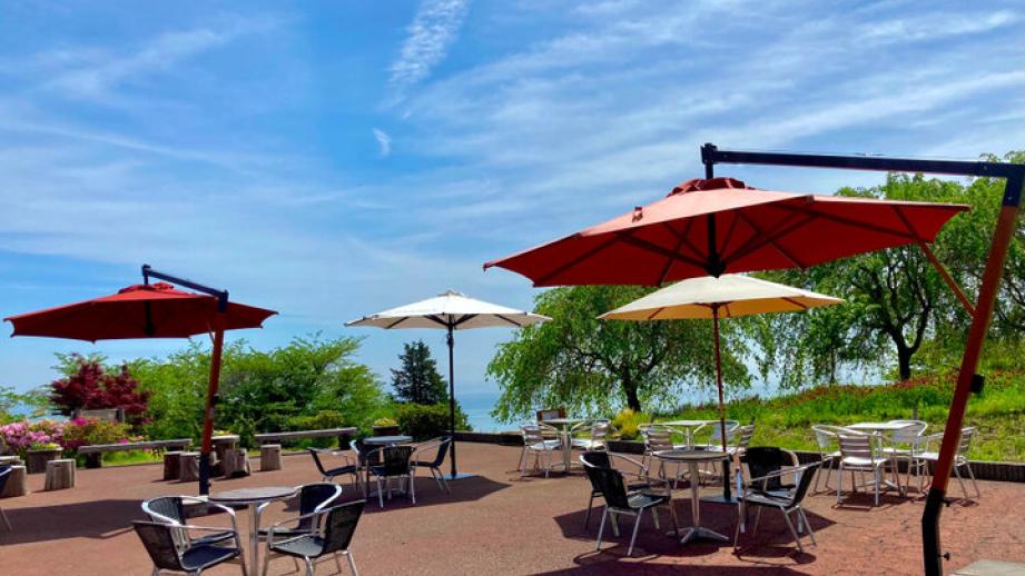 小田原の絶景に囲まれながらゆったりと♪ 絶品スイーツ&ランチを楽しめる「一夜城ヨロイヅカファーム」