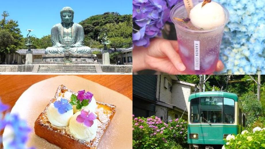 江ノ電にゆられて出かける6月の鎌倉・長谷♪大仏様の参拝と古民家カフェを訪ねるアジサイ散歩