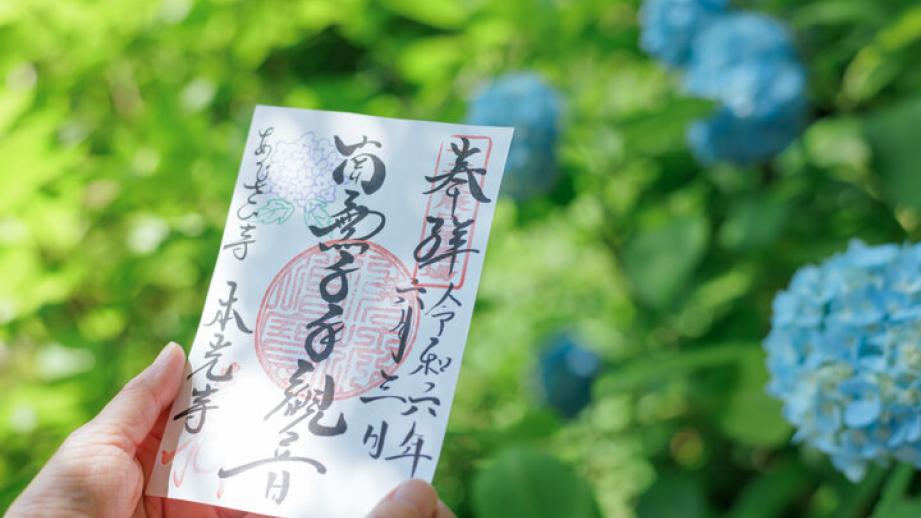 あじさいまつりの時期だけ本堂も拝観できる、愛知・幸田町のあじさい寺「瑞雲山 本光寺」へ