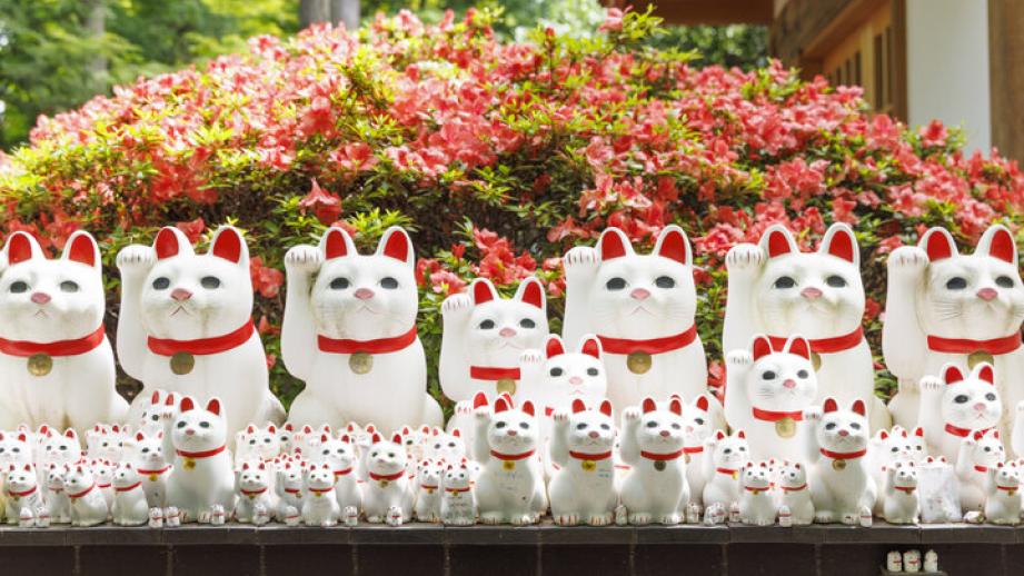 招き猫の発祥の地・豪徳寺の街をさんぽ♪猫電車や新店までおすすめの全6スポット