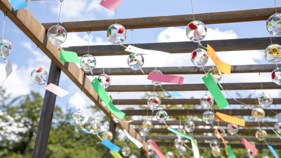 風にそよぐ6000個の風鈴が青空に映える「関ヶ原願掛け風鈴まつり2024」