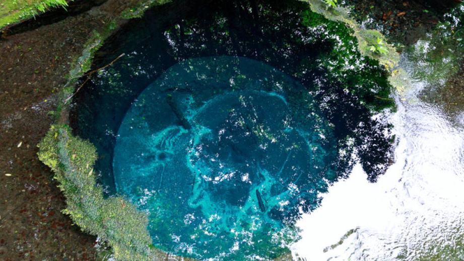 富士山の雪解け水が湧き出る公園でのんびり♪ 緑と清流に囲まれる柿田川公園