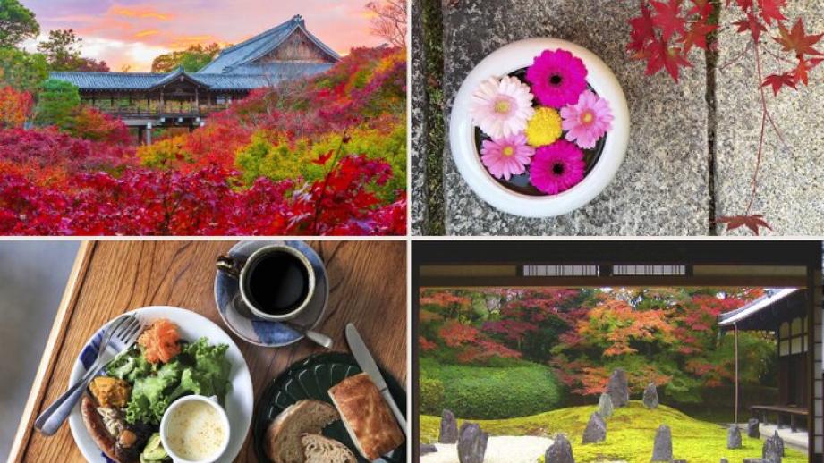 【京都・東山の紅葉さんぽ】絶景と町家カフェをめぐって東福寺から泉涌寺へ♪