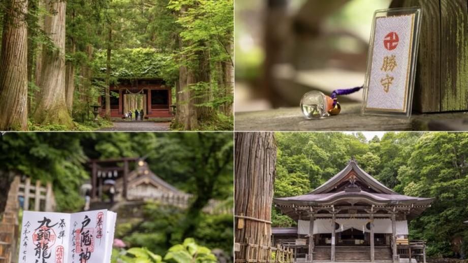 パワーを授かりに長野・戸隠へ♪ 天の岩戸神話ゆかりの「戸隠神社」五社めぐり