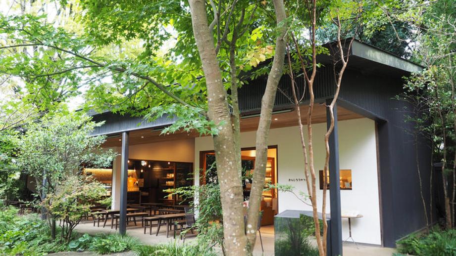 なんかいいことありそう♪ 小田原・報徳二宮神社併設「きんじろうカフェ」で開運ドリンク＆ランチを