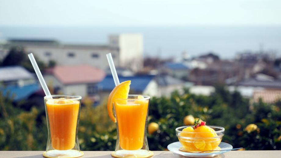 みかん畑を見渡すオーシャンビューの絶景カフェを併設♪ 東伊豆の収穫体験農園「ふたつぼり」