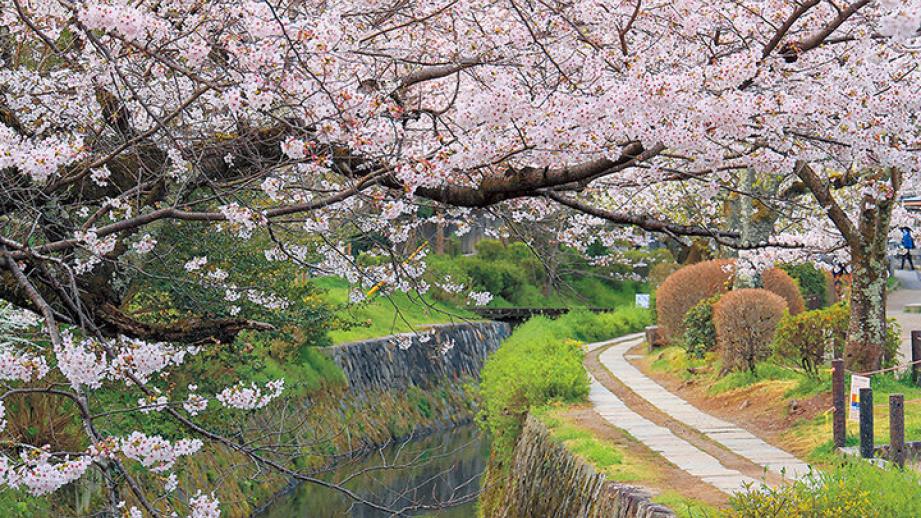 京都よりみちこみち　哲学の道と鹿ケ谷通【前編】