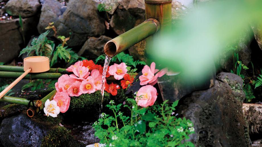 京都よりみちこみち　哲学の道と鹿ケ谷通【後編】