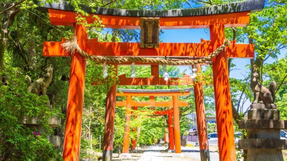 京都・吉田山の青もみじさんぽ、新緑に輝く神楽岡から京大キャンパスへ♪ 隠れ家カフェや庭園美術館も