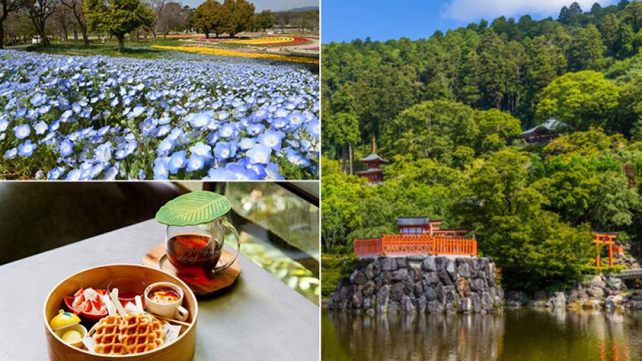 自然豊かな大阪・北摂の吹田市・箕面市でしたいこと〜“もうひとつの万博”にも思いをはせて〜