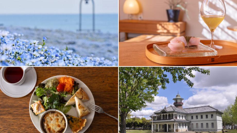 見頃を迎えたブルー一色のネモフィラの花畑、和カフェ、レトロ建築をめぐる茨城旅へ