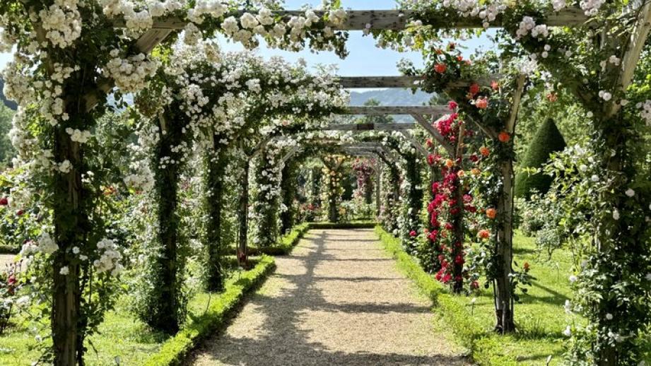 まるでフランスの秘密の花園♪ 伊豆「河津バガテル公園」で出会う色とりどりのバラと優雅なカフェ時間