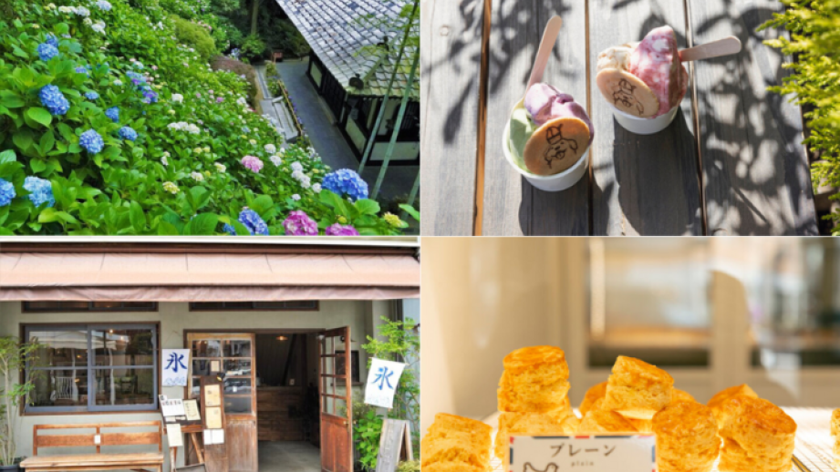 鎌倉のおしゃれな街並みとあじさいを楽しむ♪由比ガ浜通りを散策しながら花の寺・長谷寺へ