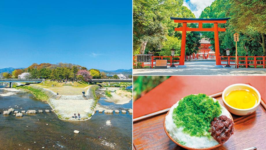 京都よりみちこみち　下鴨本通【前編】