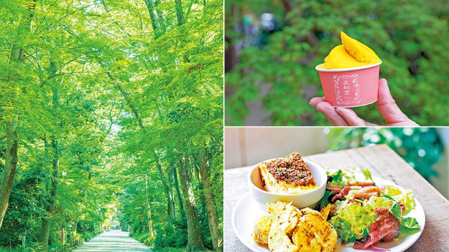 京都よりみちこみち　下鴨本通【後編】