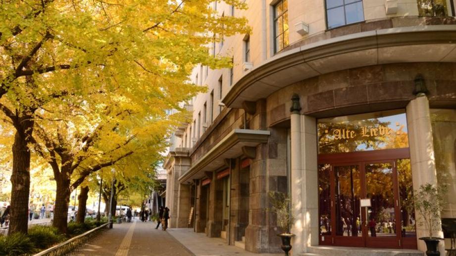 イチョウ並木の横浜さんぽ♪ノスタルジックな建物と黄金色に染まった葉っぱが織りなす異国の情緒ただよう街角