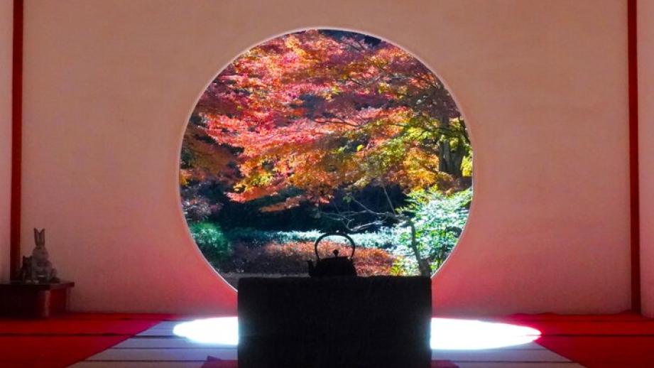 もみじが色づく北鎌倉の紅葉さんぽ♪名刹の円窓が映す秋色の静寂