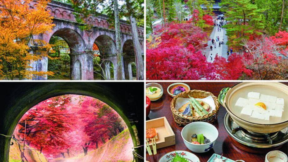 【京都・新国宝を訪ねる紅葉さんぽ】琵琶湖疏水で船旅を楽しんだ後は、庭園めぐりや湯豆腐も♪