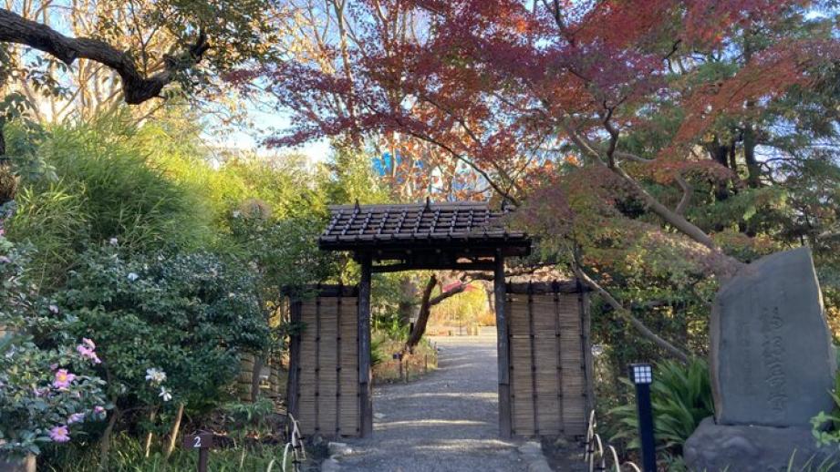 下町の小さな楽園「向島百花園」でのんびりさんぽ。秋の草花が彩る庭園へ