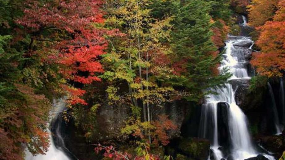 日光さんぽで行きたいスポット6選〜紅葉や世界遺産の神社、ご当地グルメを満喫〜
