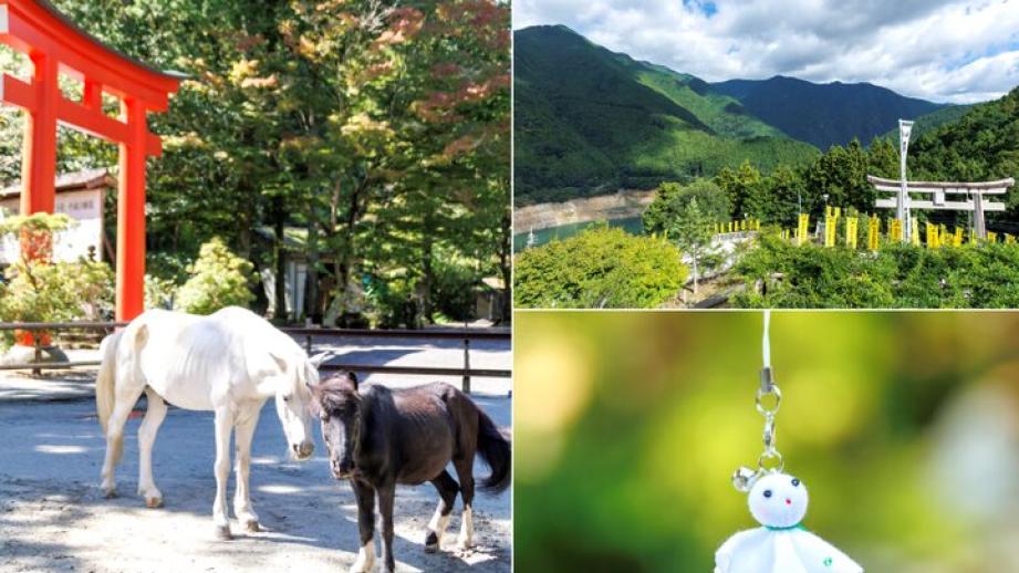 白黒2頭の神馬に会える♪ 奈良・吉野「丹生川上神社」で心潤す三社めぐり