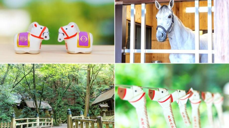 午年のお参りは、白馬伝説を語り継ぐ“北のお伊勢さん” 三重の「多度大社」へ