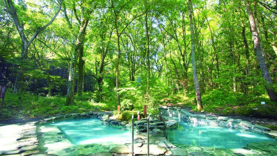 南足柄の森でひとりリセット時間♪ 3000坪の隠れ温泉リゾートで心ほどけるモダン湯治を「おんりーゆー」