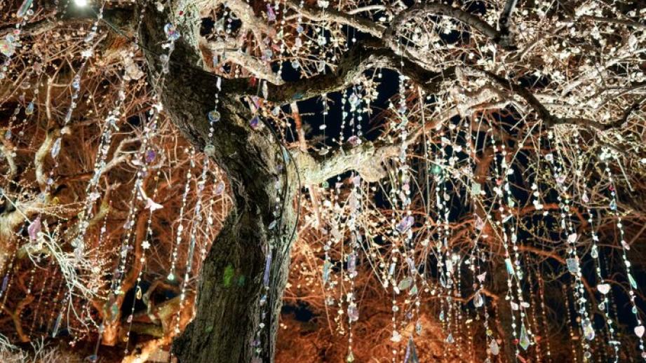 京都・北野天満宮がアート空間に。蜷川実花 with EiMが彩る「KYOTO NIPPON FESTIVAL 2026ｰ時をこえ、華ひらく庭ｰ」