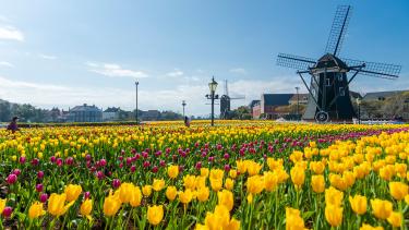 ハウステンボス「チューリップセレブレーション」