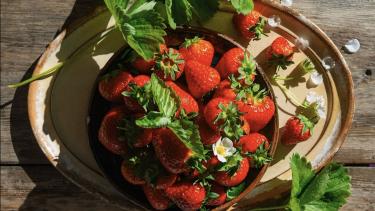 「IZU ARTH FARM」イメージ