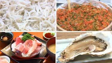 【静岡県静岡市・河岸の市】海鮮の誘惑と絶品マグロ丼! 2025 年にリニューアルした魚市場