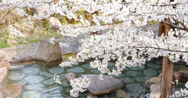 専門家厳選！花見風呂が楽しめる関東甲信越の温泉宿5選