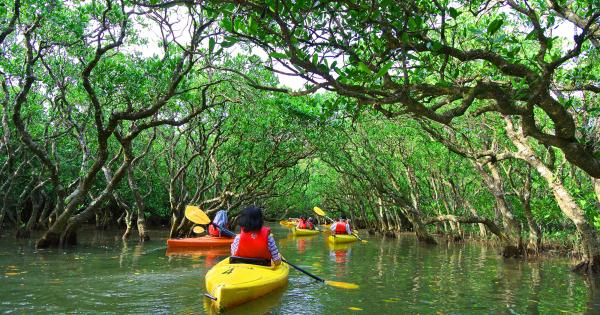 奄美大島が世界遺産登録へ