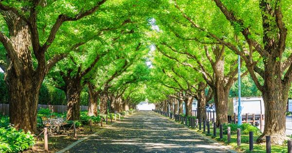  青山・表参道のおすすめ観光名所